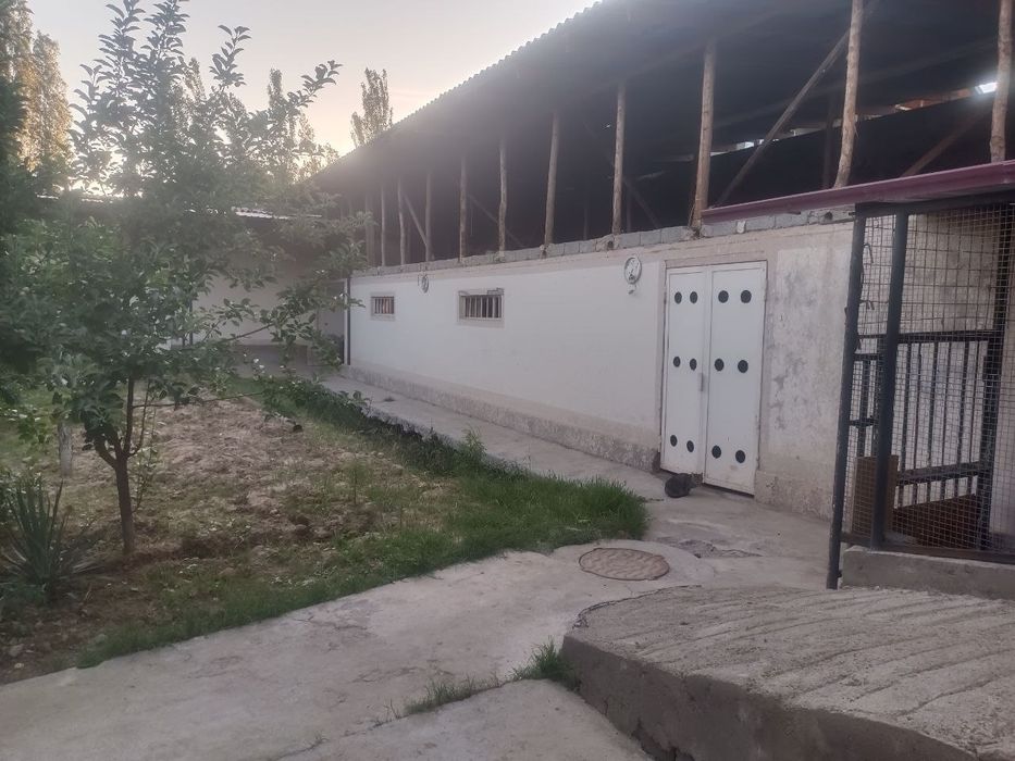 Yer sotiladi 3 sotix