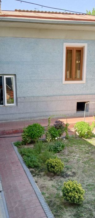 Uchaska sotiladi 3.1 sotx yer xisobida, Oqlon