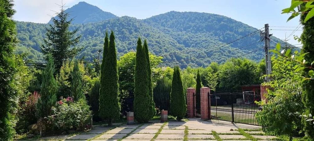 Casa de Vacanta Lepsa Vranceaa
Sup