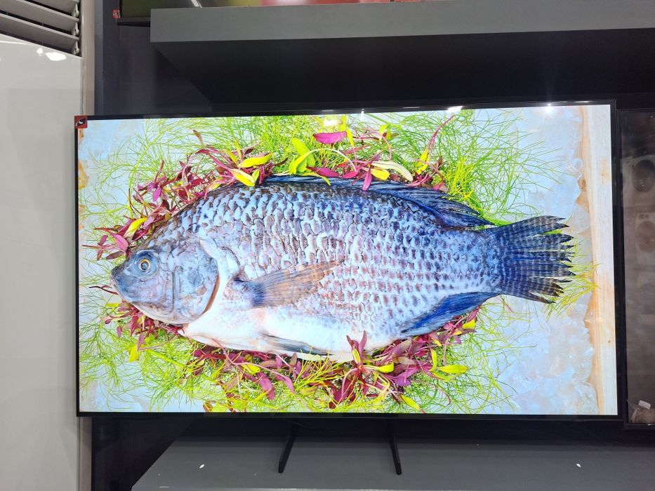 Samsung Oled 2025 год Скидка!!!