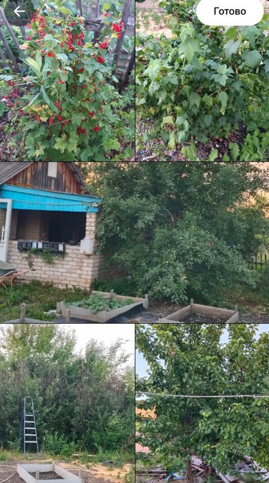 Продам дачу в СО «Тихая Роща».  3 млн.