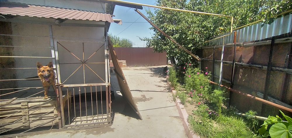 Продам дом в тихом районе.