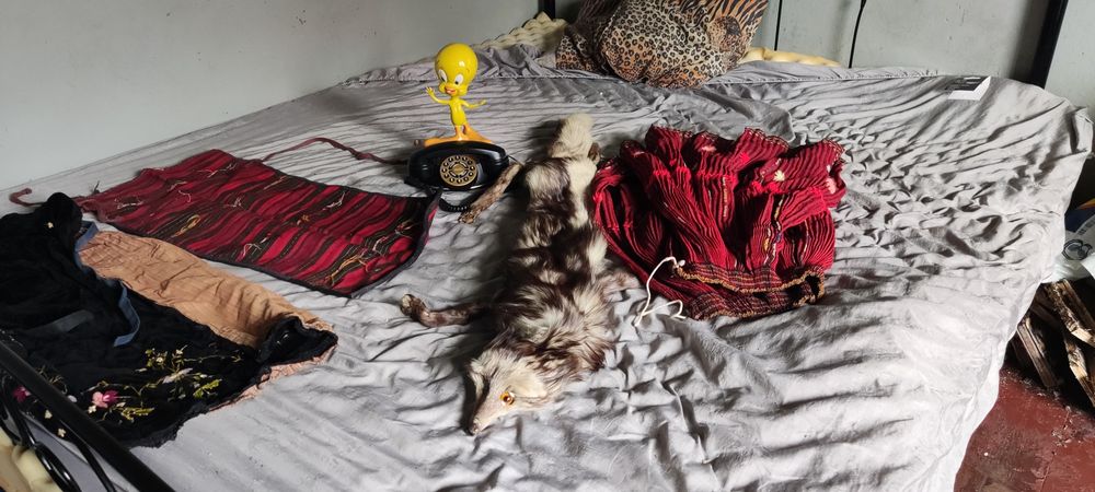 Антикварни неща имат и монети