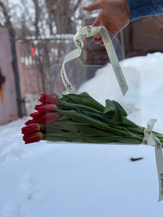 Тюльпаны на 8 март