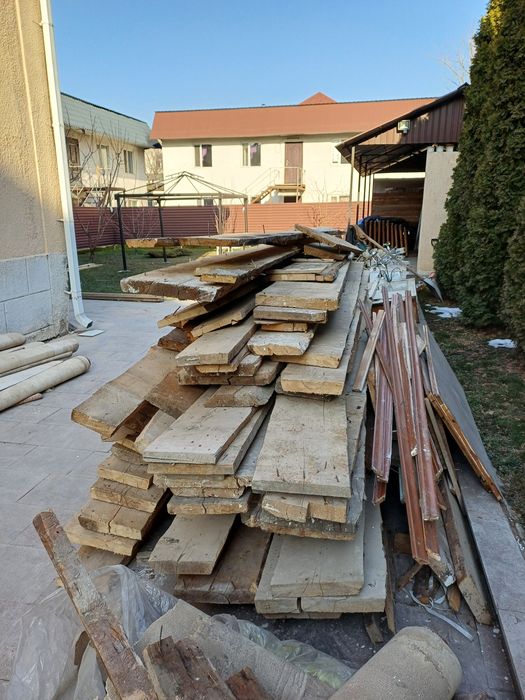 Леса сосна. В отличном качестве.