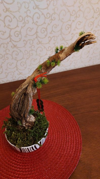 Бонсай ручная работа