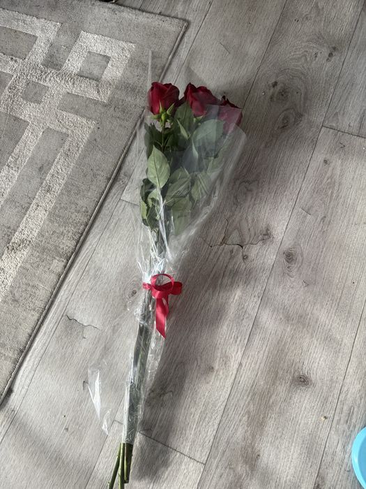 Галанские розы свежие