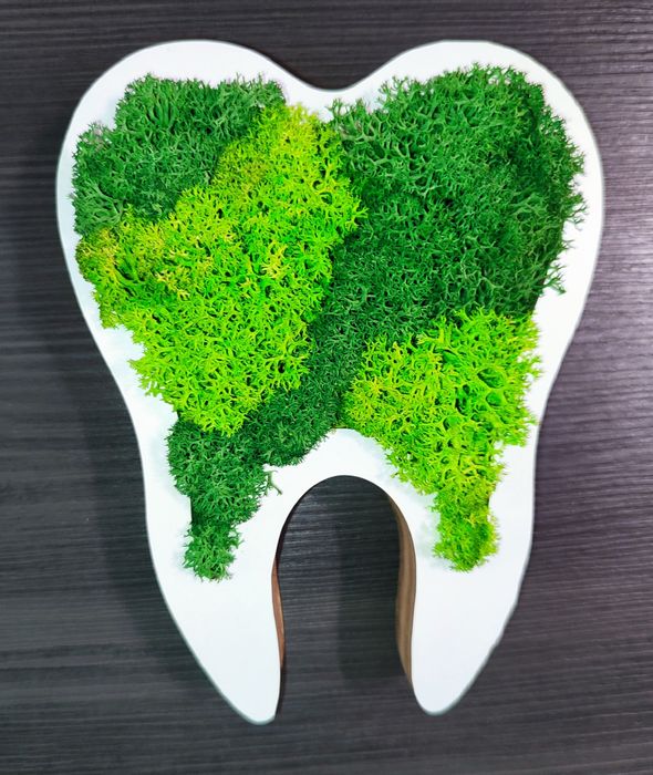 Картини/пана и др.със скандинавски мъх