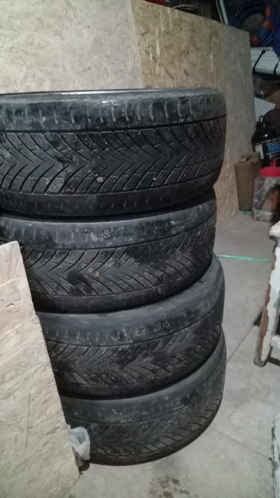 Шеарлет диска 17