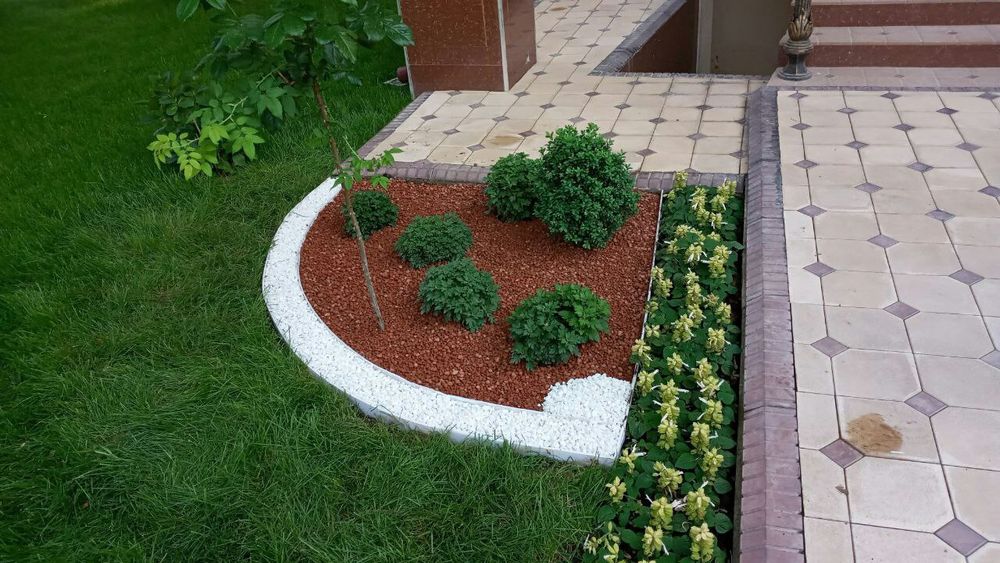 Газон рулонные и посевной из первых рук