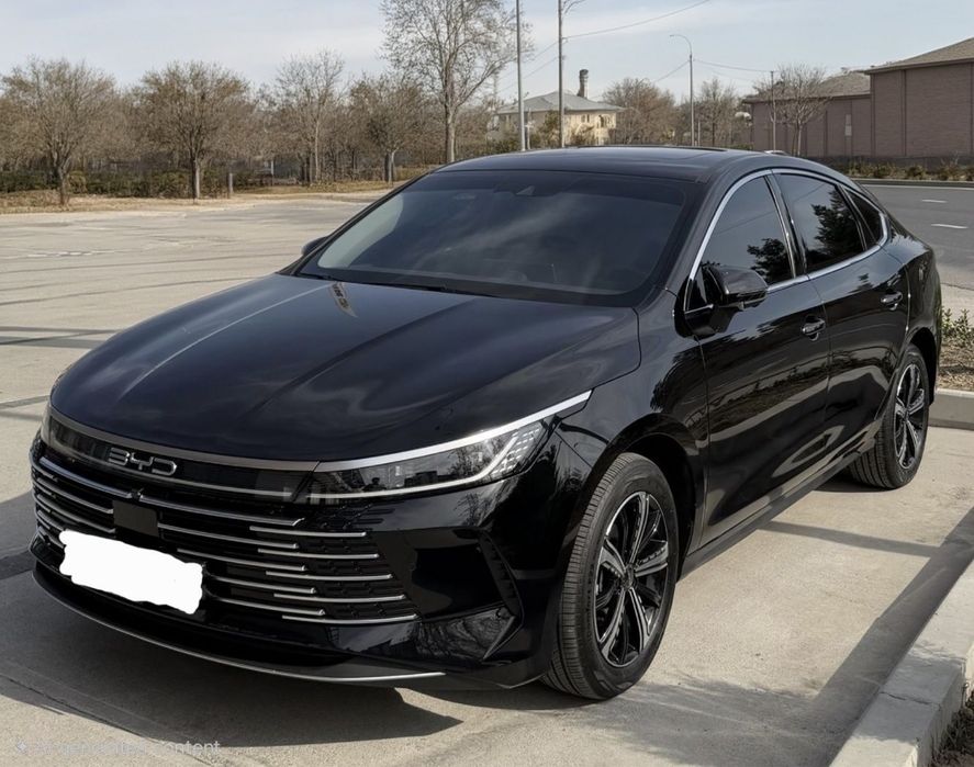 BYD chazor  120 full