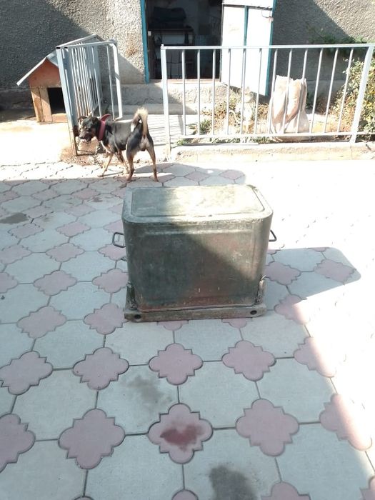 Генератор НОВЫЙ Советский СССР 1986 Г0Д