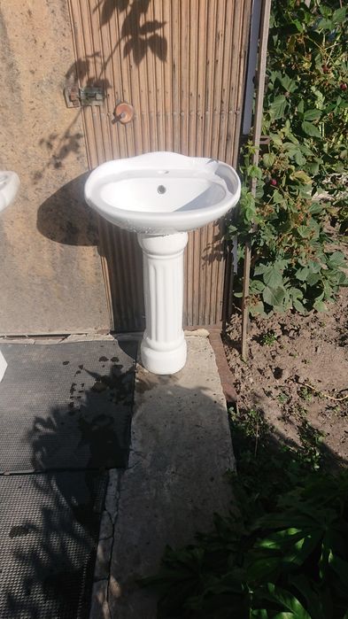 2-Раковины, Тюльпан.