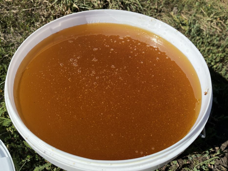 продам МЁД (луговой) !!! с доставкой