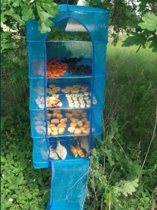 Сушилка для рыбы, сухофруктов Казакстан