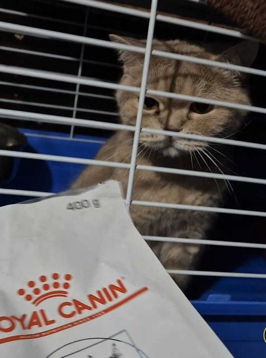 По дороге к счастью - девочка Груня