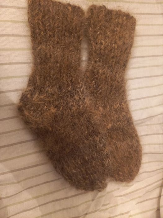 Носки Собачьи 8000