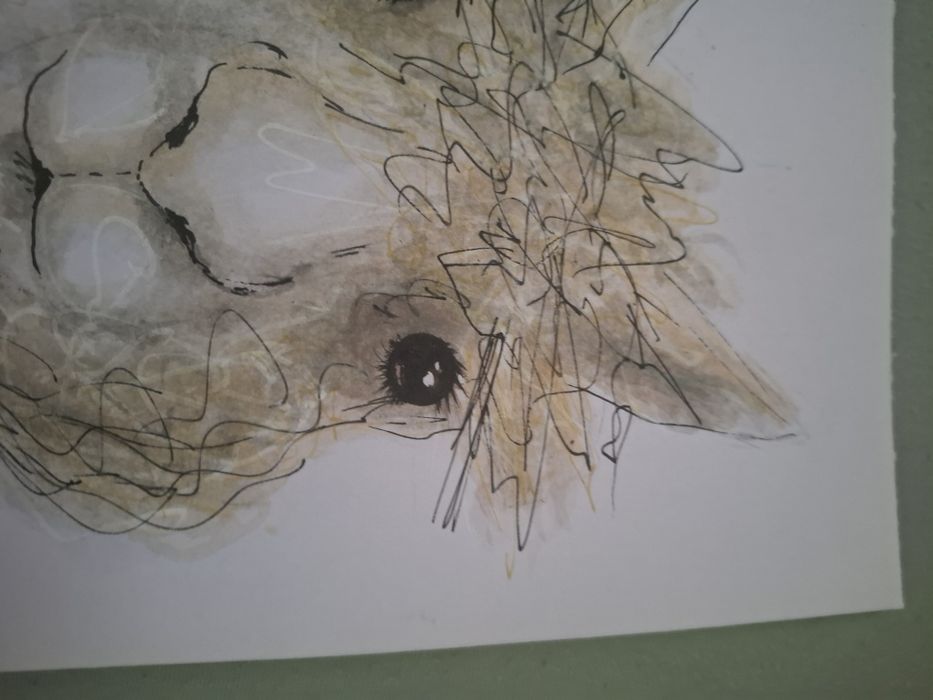 Pictura Alpaca, semnata Dadushk