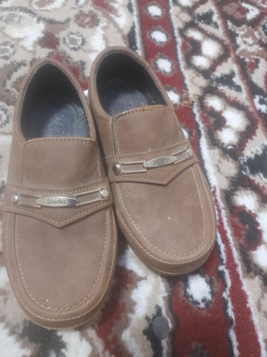 Makasim ogil bollaga yangi