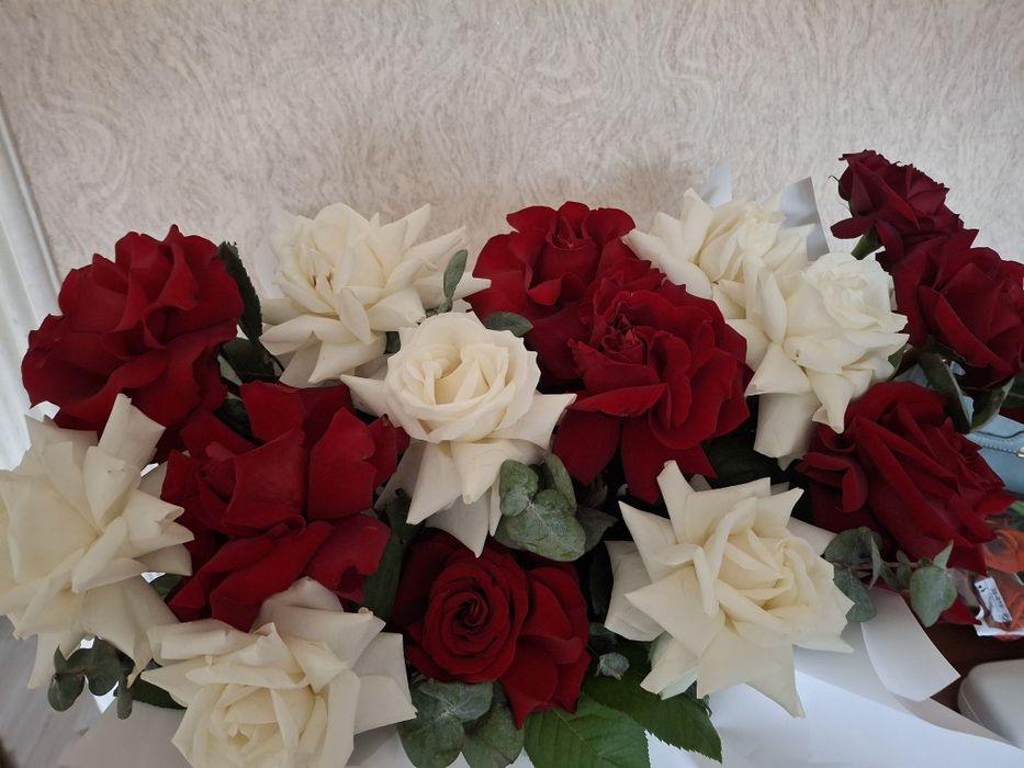 Свежие розы красивые