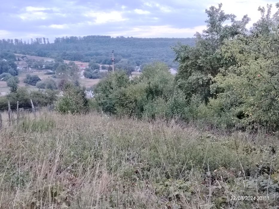 Casă cu teren 23 ari în Dărmănești, jud Suceava