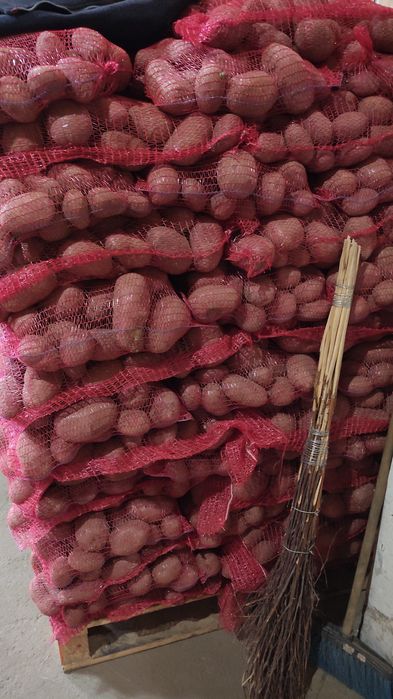 Vând cartofi  calitate 1