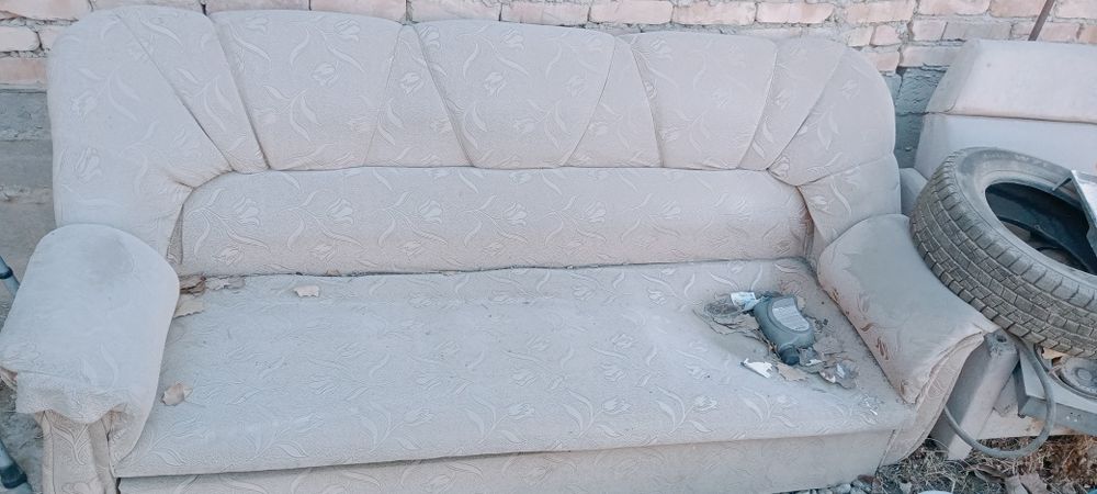 Отдам даром бесплатно