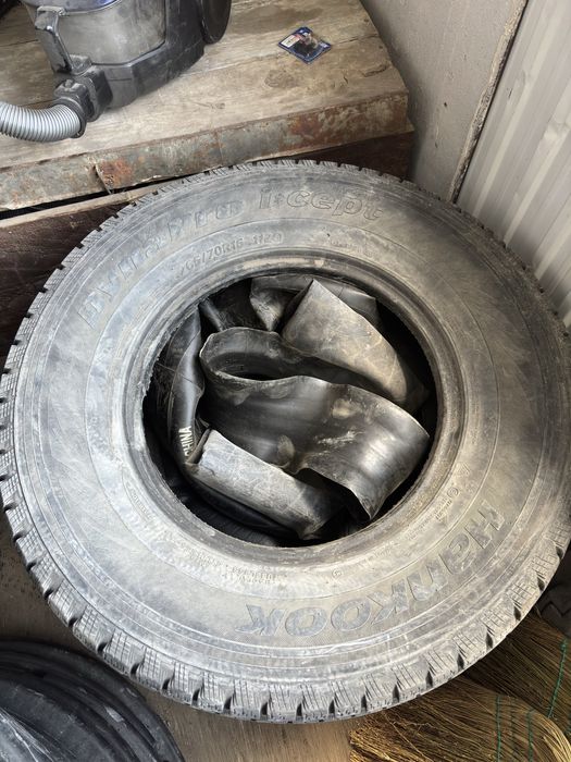 Покрышка 16 Hankook зимние