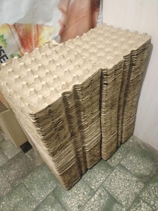 Продам лотки . Б/ У в хорошем состоянии.