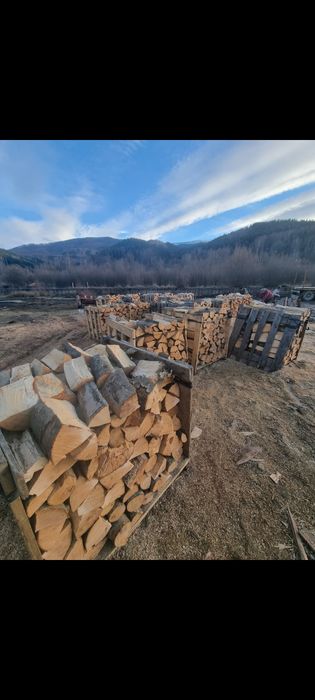 Lemn de foc esenta fag!