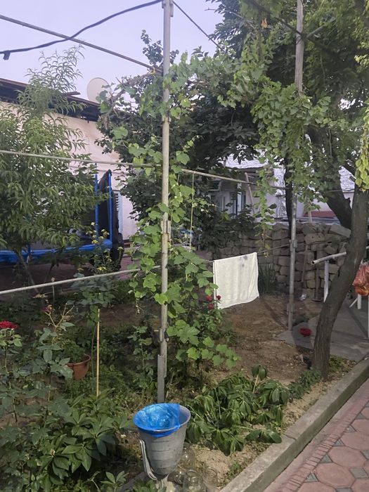 Hovi uchaska chilonzor