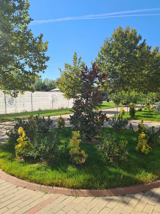 Plante ornamentale pentru amenajări peisagistice