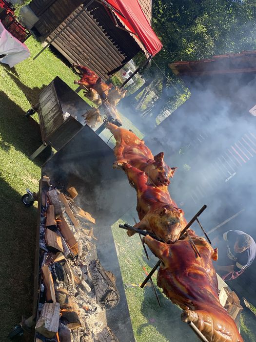 Porc, berbecut , vitel, pui facute la protap!!!