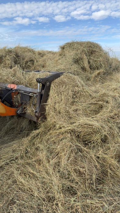 Продам сено луговое