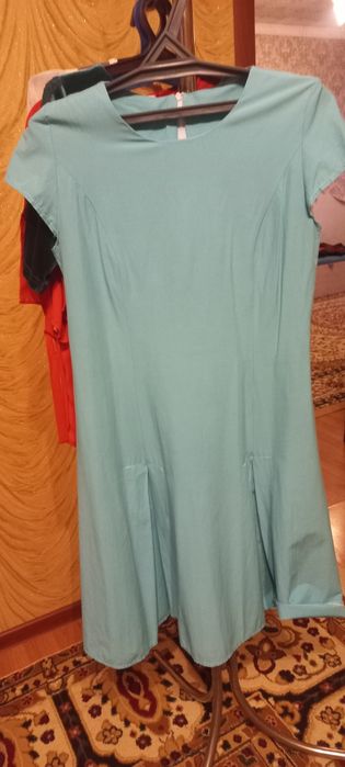 Арзан багада койлектер