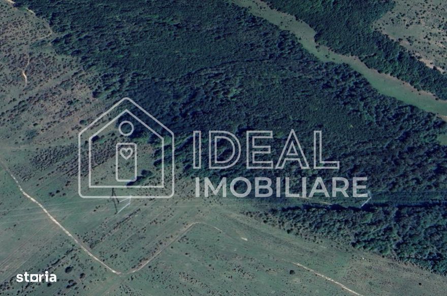 Pădure matură 12,71 ha - Mag, jud. Sibiu - potențial exploatare 2025