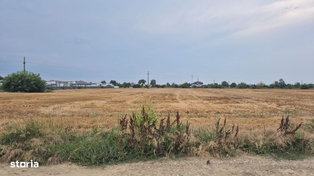 Teren intravilan 730 mp, Cartier Serbanesti, Bacau