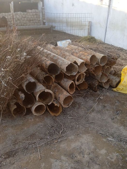 Metallom metallom 24/7