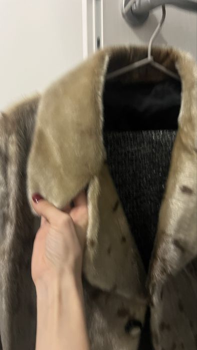 Haina blana foca argintie