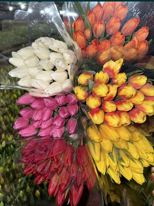 Тюльпаны цветы на 8 марта