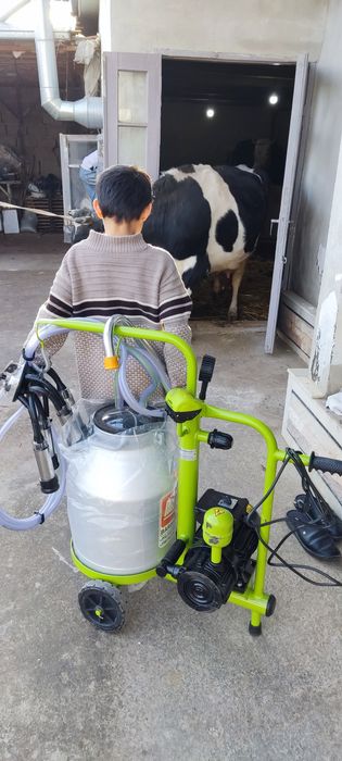 Sigir sog'ish aparati