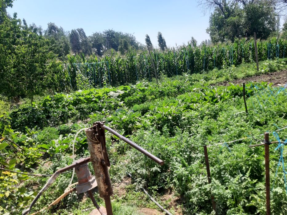 Продется Дом в городе ДУСТАБАД
