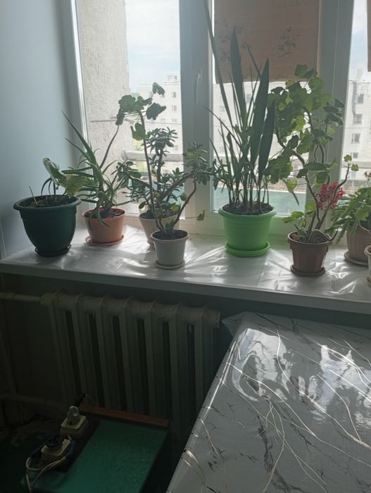 Сдам 2 комнатную квартиру