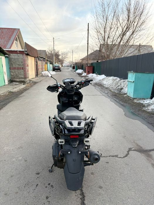 Tank sport мапед