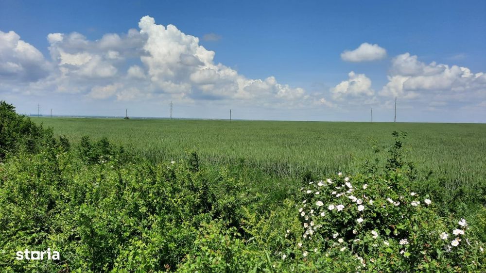 Teren arabil Seceani