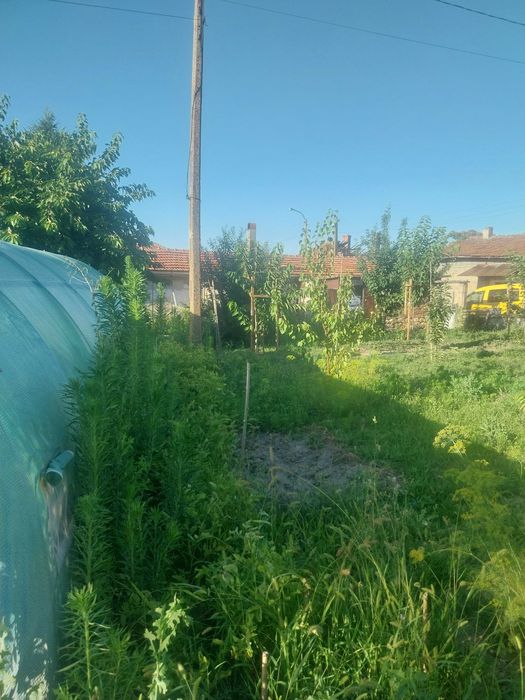 Продава къща с.Ценово , Русенско
