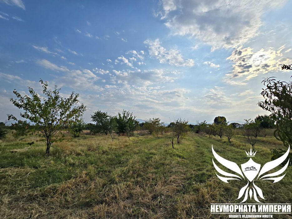 Продава се Парцел в с. Боянци, Област Пловдив - 29000 кв.м за 5 €/кв.м - Снимка #3