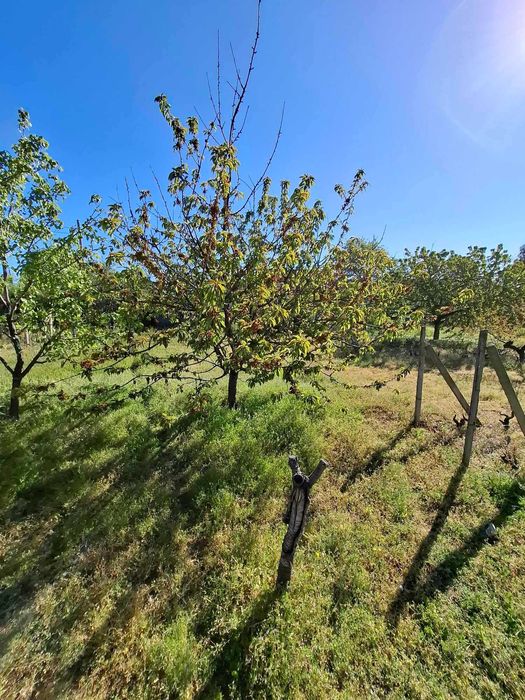 Продава се Парцел в Варна, Автогара - 1040 кв.м за 125 €/кв.м - Снимка #6