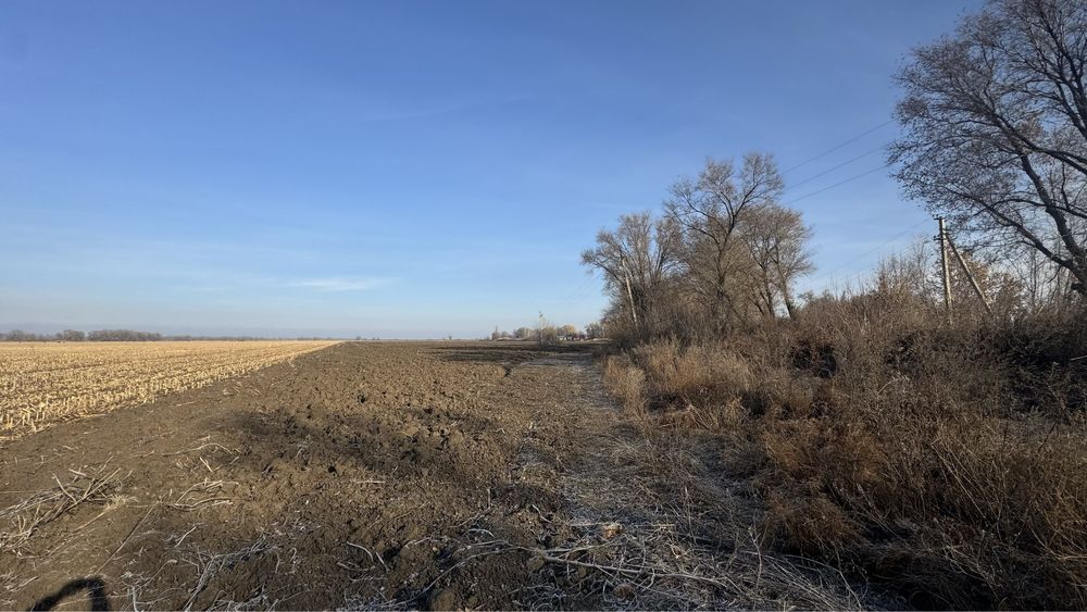 Продам крестьянское хозяйство