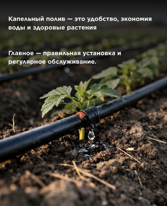 Установка капельного полива